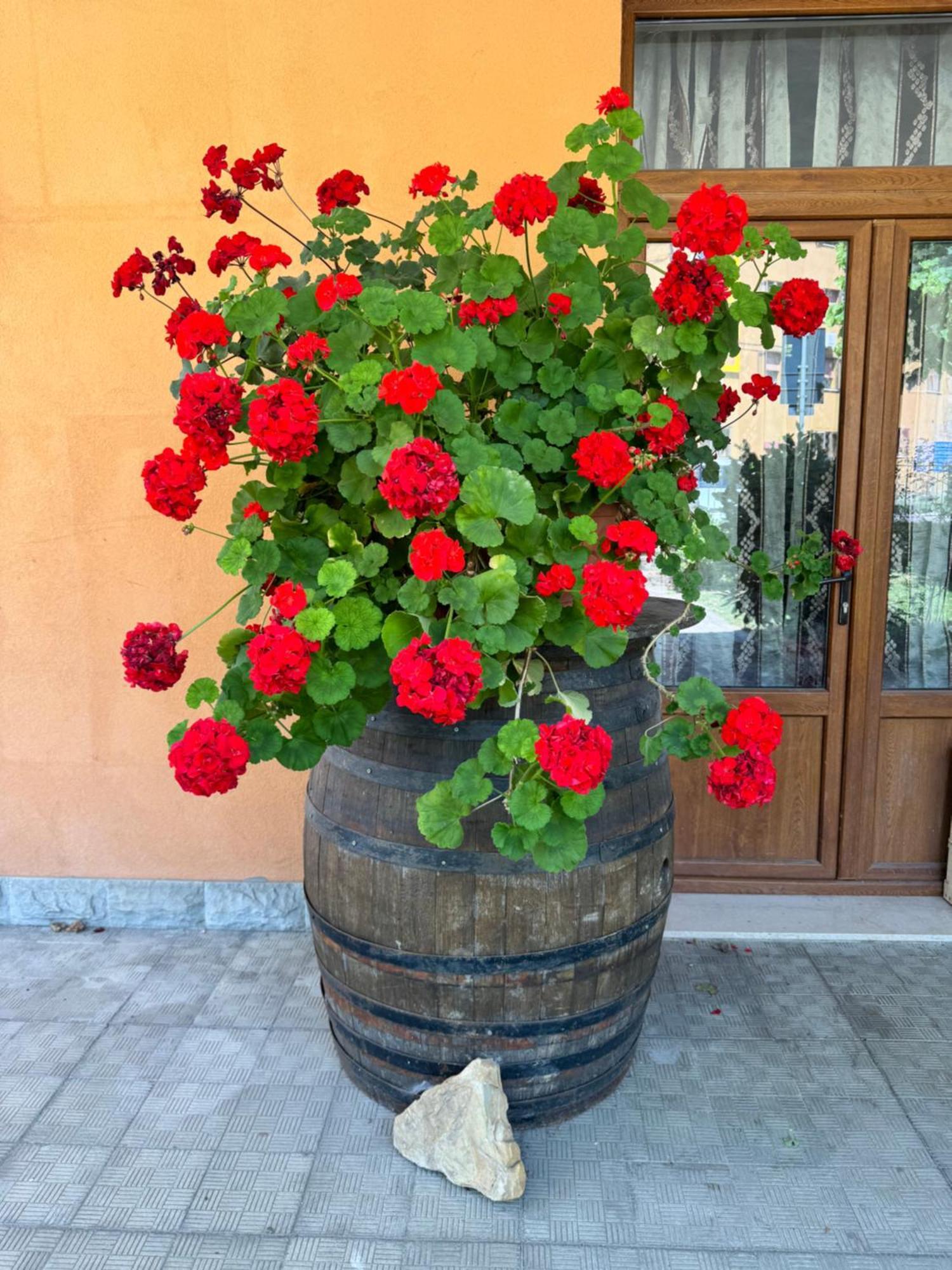 B&B Romani Madonna di Fornelli Exterior photo